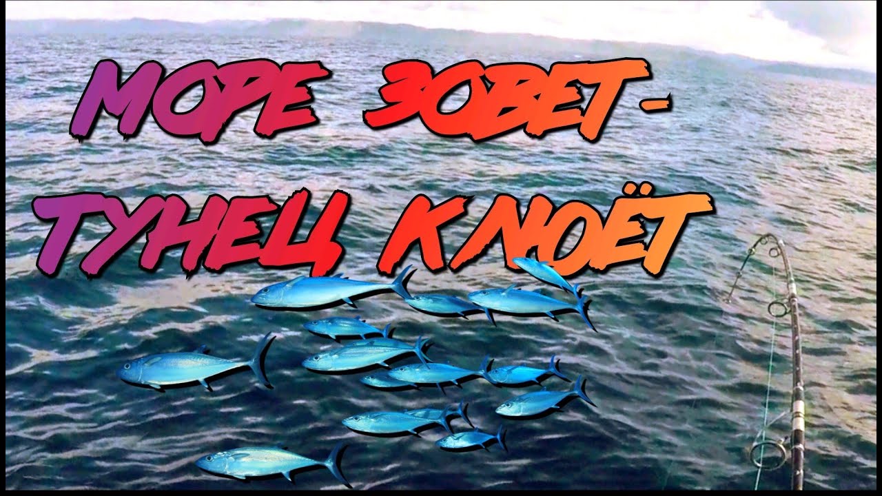 Тунец клюет в кастинг, не смотря на волны и ветер.(tuna bites in casting,despite the waves and wind)