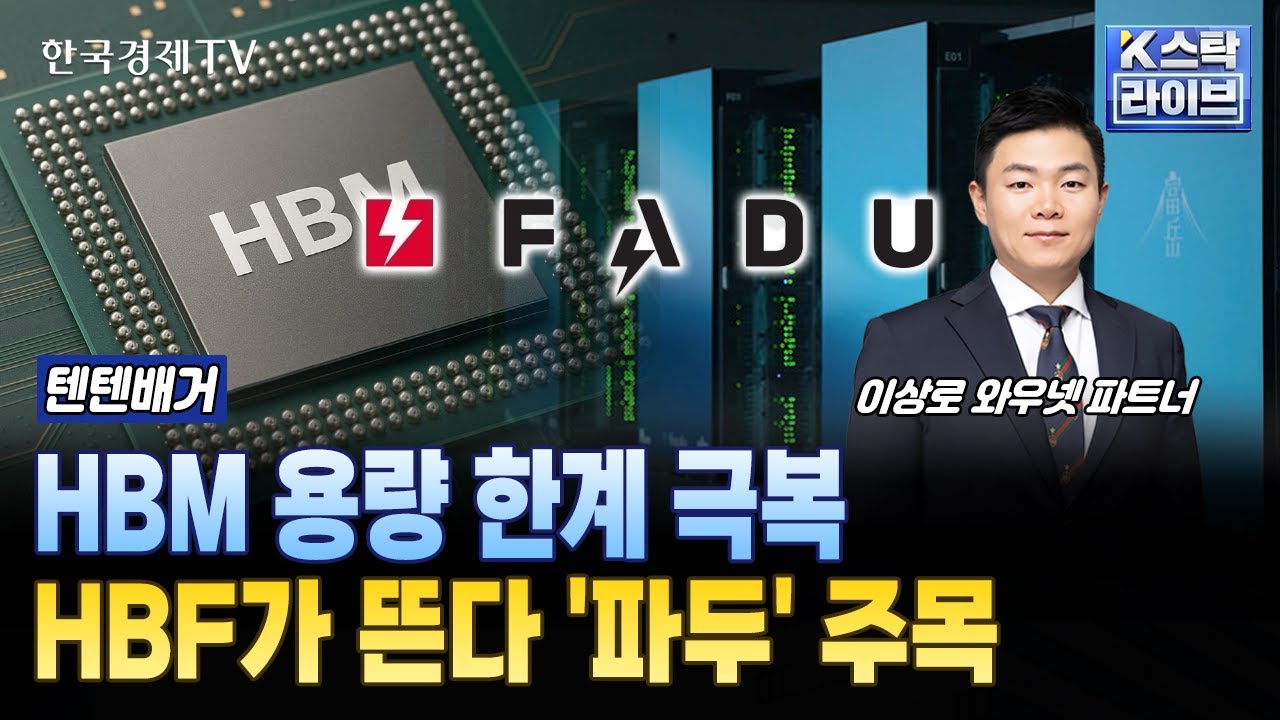 HBM 용량 한계 극복, HBF가 뜬다 '파두' 주목 | #네오셈 #파두 #티씨케이