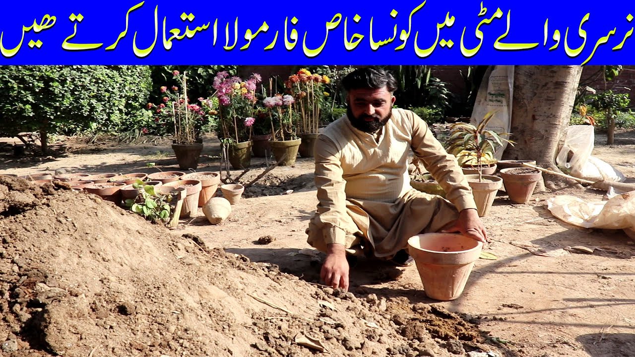 نرسری والے مٹی میں کونسا خاص فارمولا استعمال کرتے ہیں