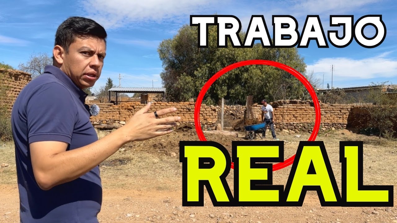 Limpiando el corral un domingo | Trabajo real