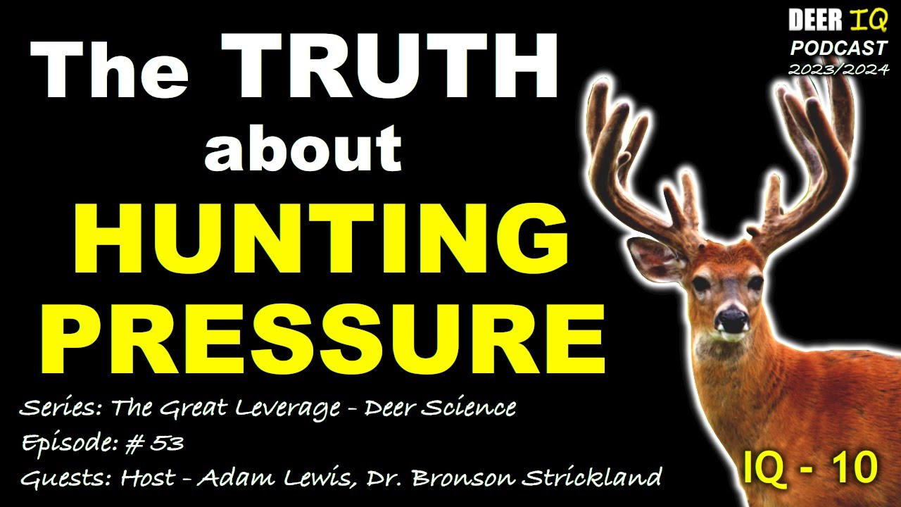 The TRUTH about Hunting Pressure | Series: Deer Science w/guest Dr. Bronson Strickland