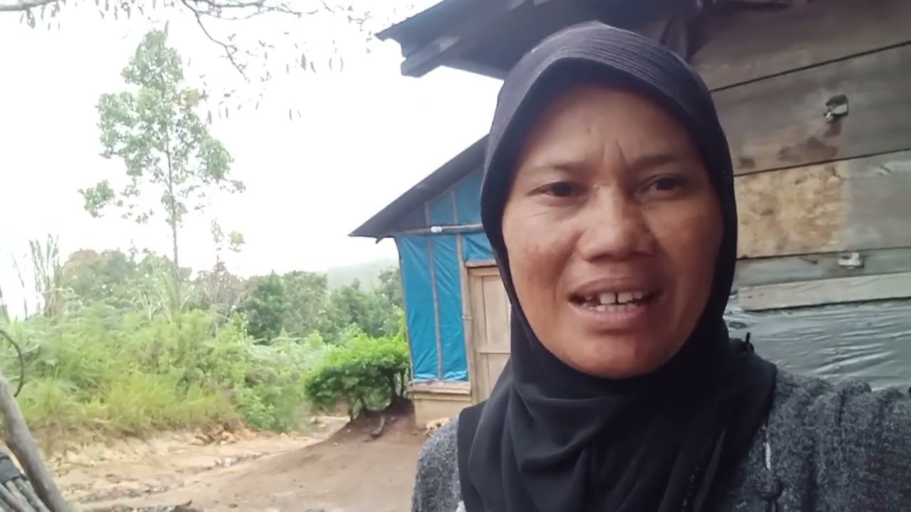 Terakhir petik timbang rame² semua baju putih 