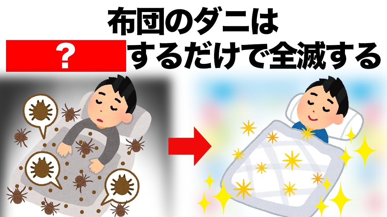 【超簡単】ダニ対策は