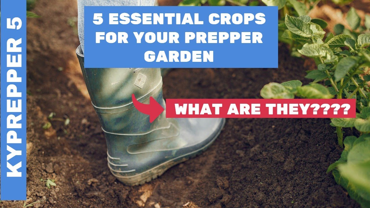 5 Essential Crops for your Prepper Garden