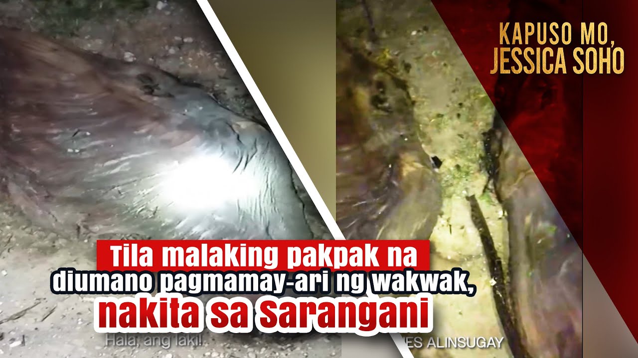 Pakpak ng Wakwak? | Kapuso Mo, Jessica Soho
