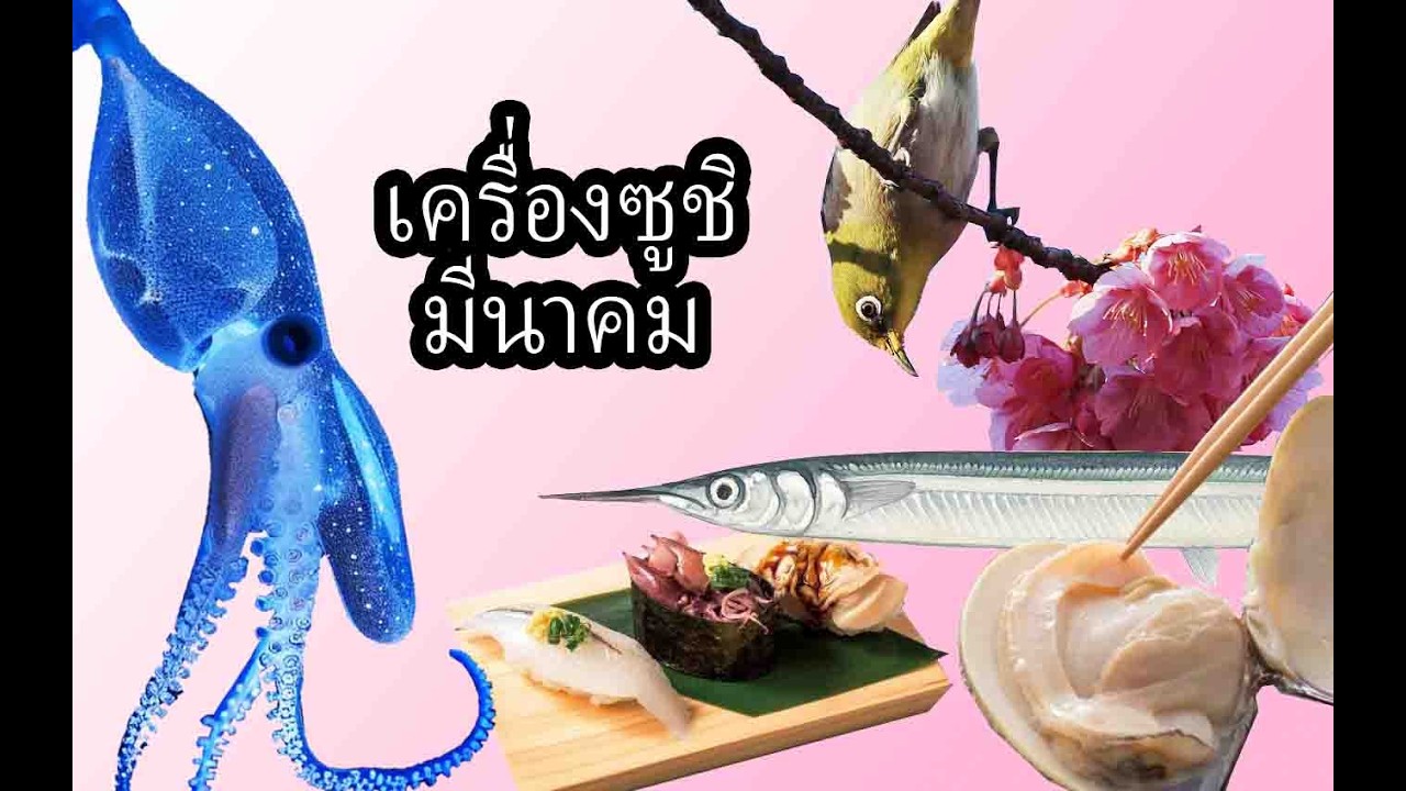 ตอนที่ 3 วัตถุดิบแห่งซูชิ (มีนาคม)「FOURTHERNIZE」