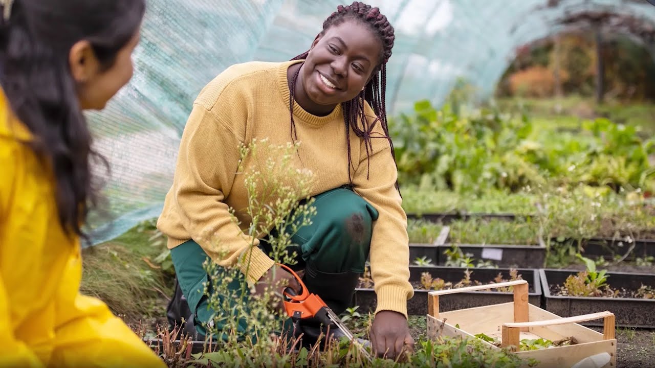 Mastering Organic Farming - Principles and Practices (16 Minutes)