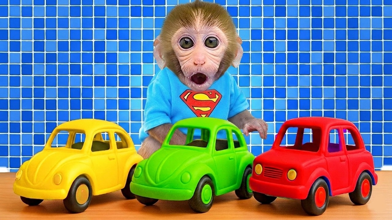 Monkey Bon Bon Takes a Bath and Plays with Car