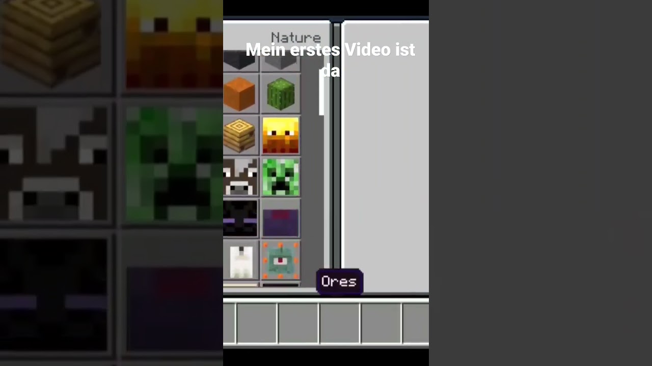 Minecraft morph mod
