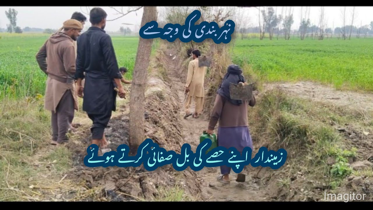 نہر بندی کی وجہ سے زمیندار پھل صفائی کرتے ہوئے#villagelife #village #lalapindwala 