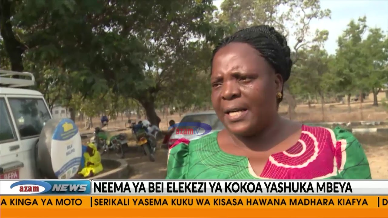 Neema ya bei elekezi ya Kokoa yatua Mbeya