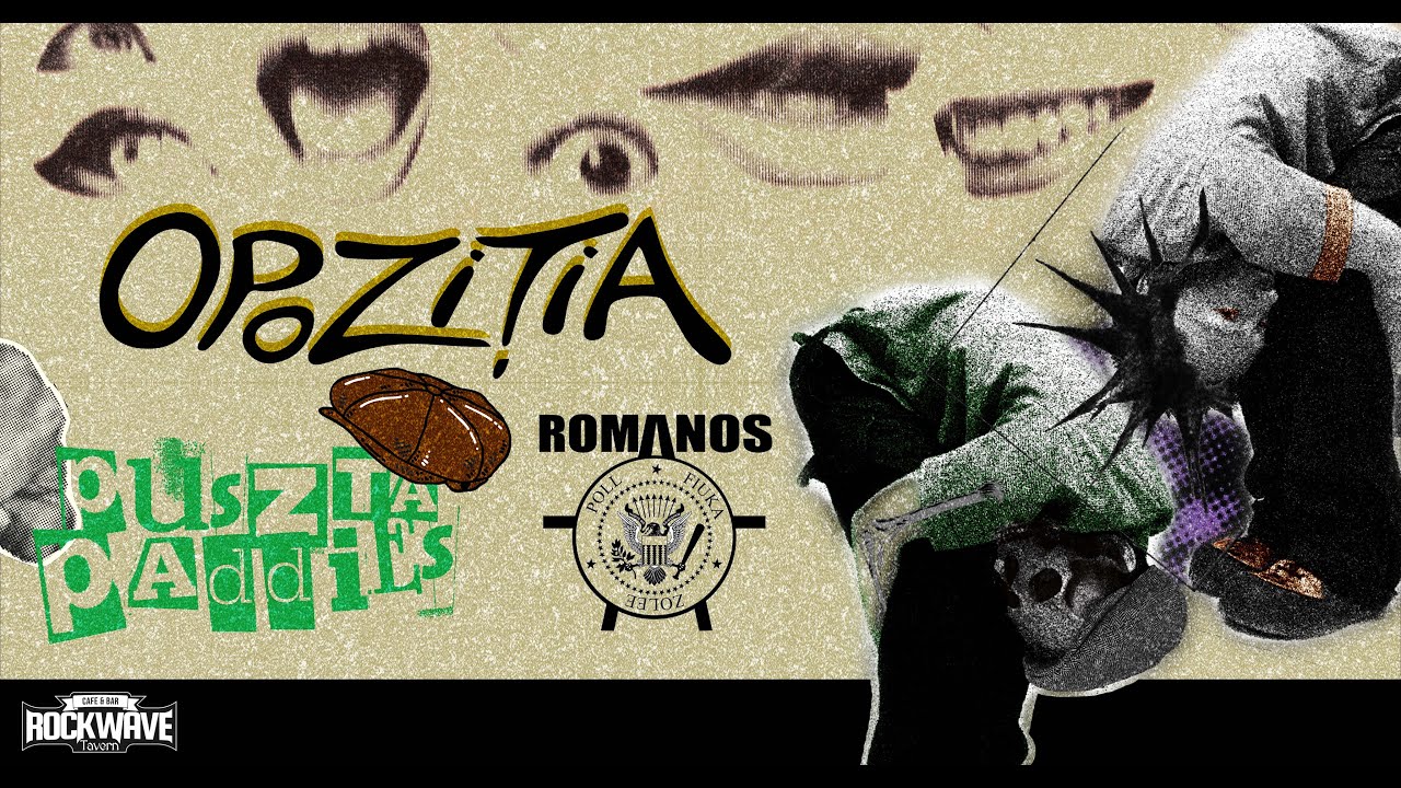 OPOZITIA-Caut Nevasta.Live@ Rockwave Tavern-Baia Mare.Romania