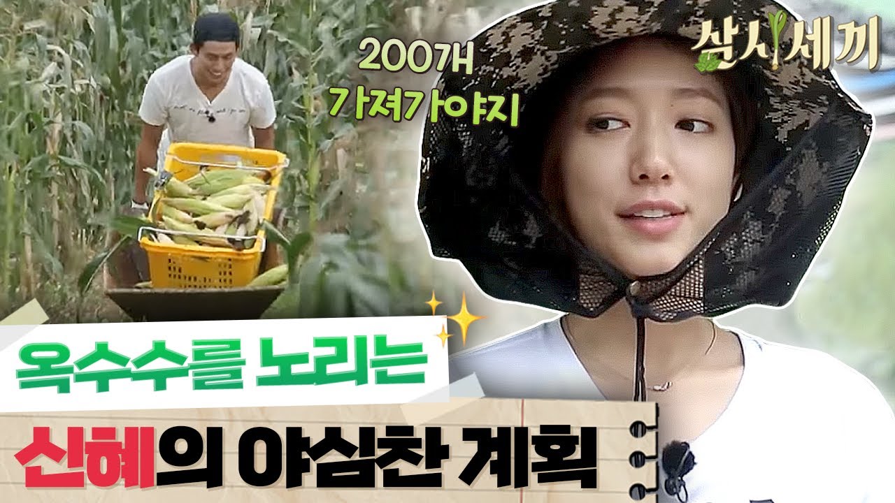 [#삼시세끼정선편] 택연이 비오는 옥수수 밭을 떠나지 못하는 이유는?