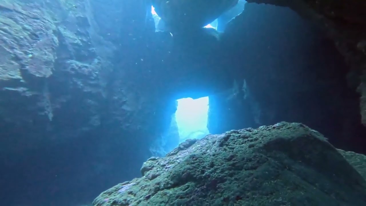 Scubadiving - Madeira - Arena