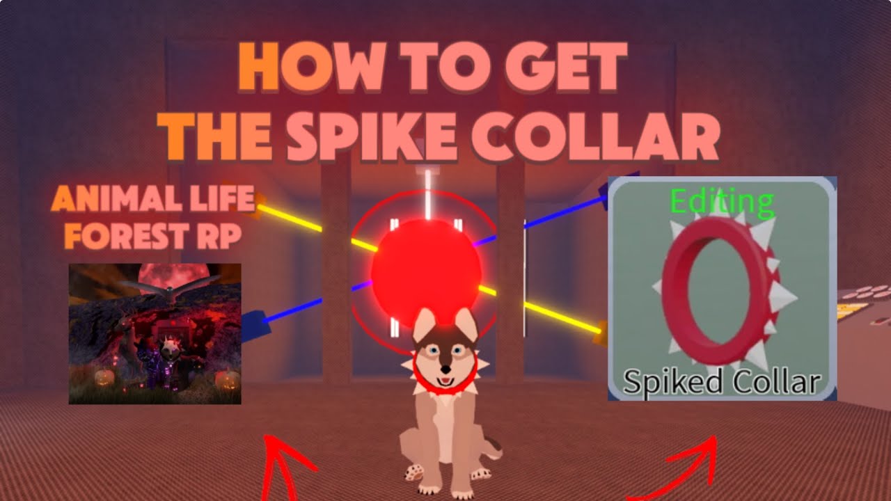 How to get the spike collar! If this helps you a little bit!