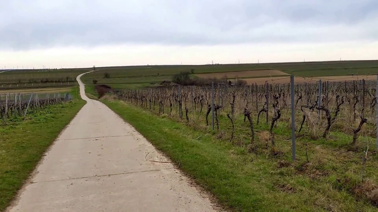Leiningerland in der n&ouml;rdlichen Vorderpfalz