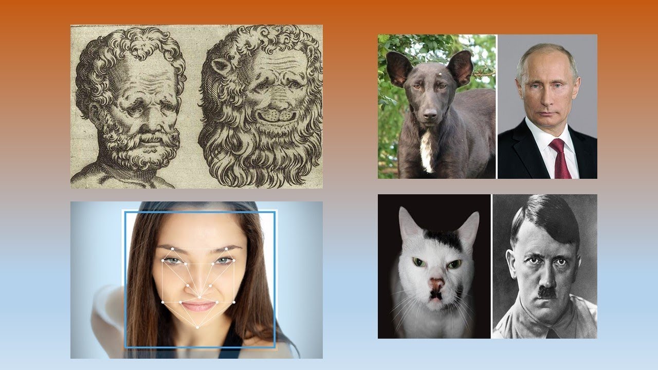 YÜZÜN SENİ ELE VERİYOR !!! FİZYONOMİ GERÇEĞİ...