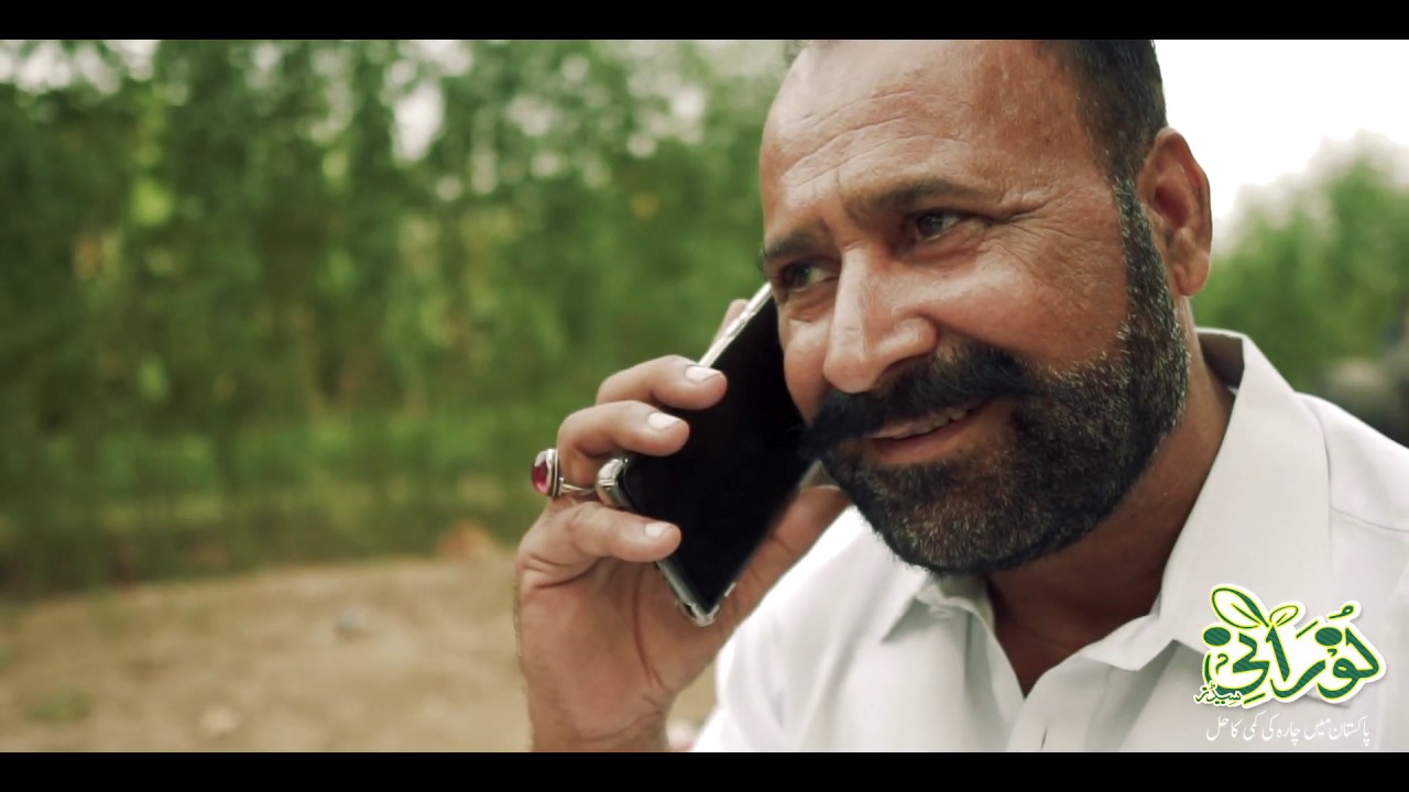 Kohenoor Protein Grass TVC | Milk More Grass | دودھ بڑھانے والا چارہ