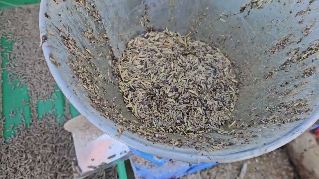 Pellet mill working