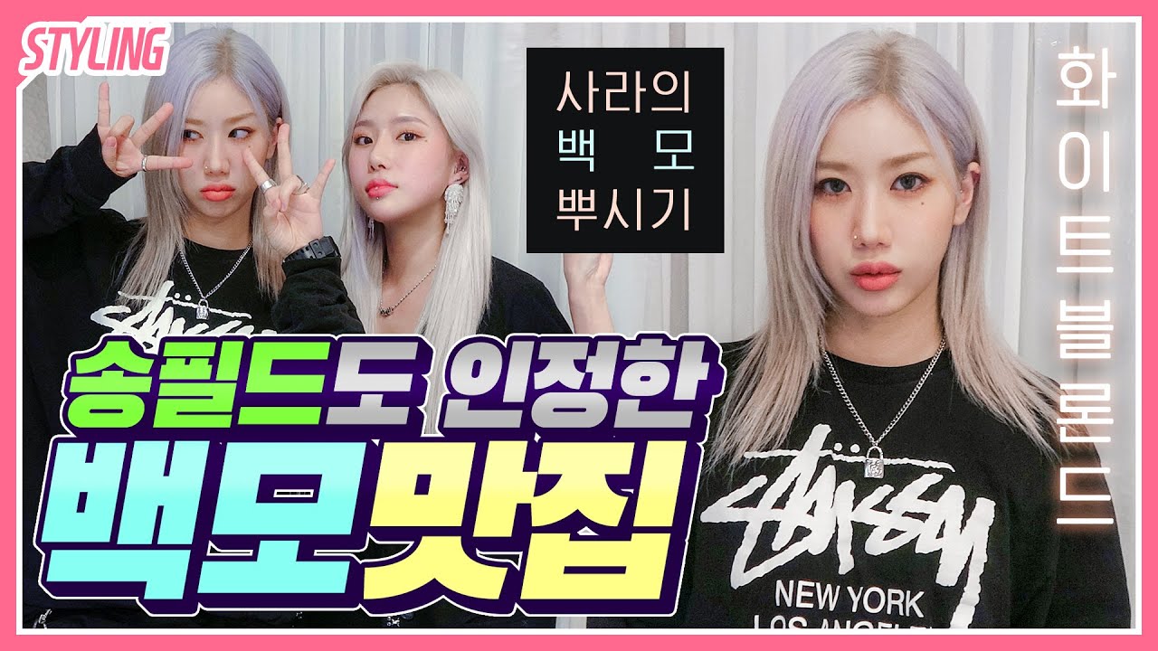 헤어디자이너 사라의 백모염색 꿀팁 총정리 + 홍대미용실 화이트블론드 뿌시기 with송필드