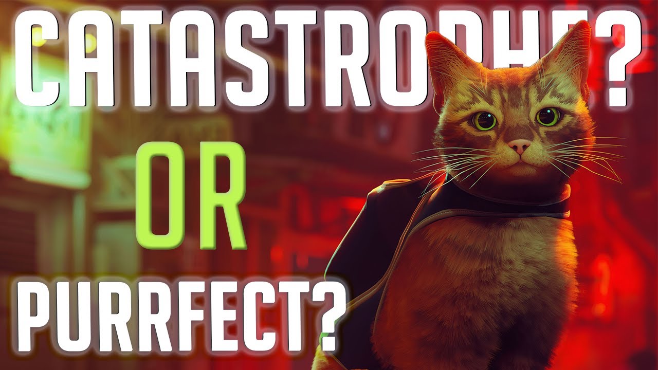 Is Stray worth its $30 price tag? (Review)