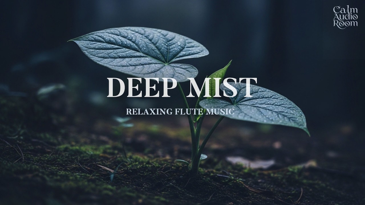 Beautiful Flute Notes That Quiet the Mind and Create the Perfect Night to Sleep 😴🌙