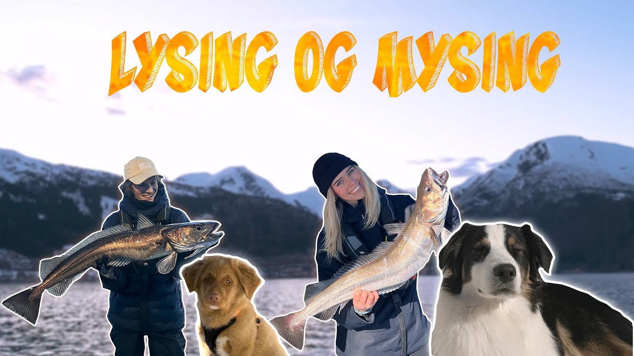 Lysing og Mysing