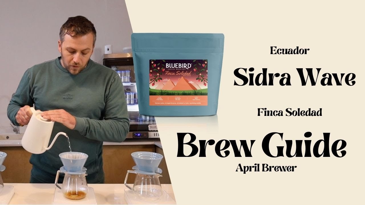 Brew Guide: Finca Soledad Sidra Wave