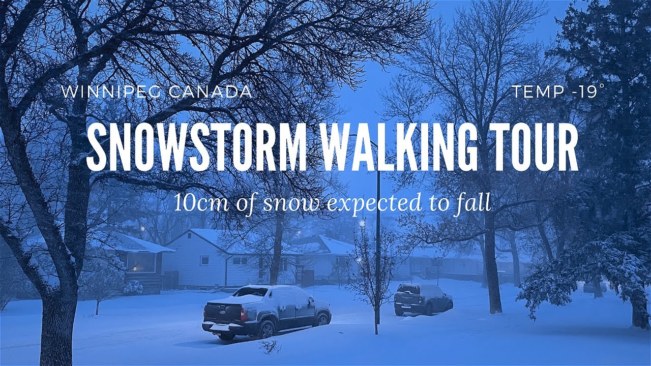 Snowstorm Walking Tour 🌨️ In Winnipeg 🇨🇦 | Winter