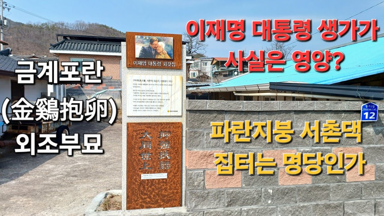 (상담:인산 010 8576 3554)이재명 대통령의 생가가 영양 청기면 외갓집이라고 주장하는 일설이 있어 찾아가 봤습니다..금계포란형의 외조부 묘는..
