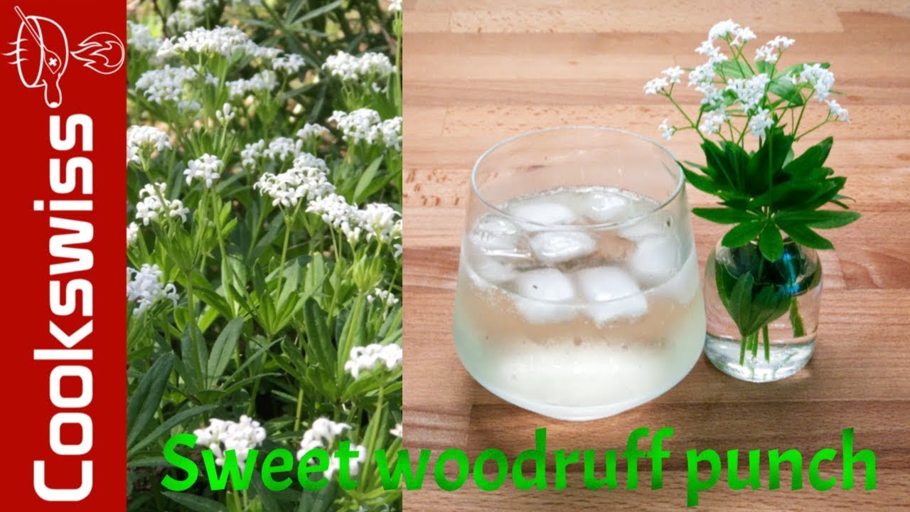 Sweet Woodruff Punch - sweet woodruff uses