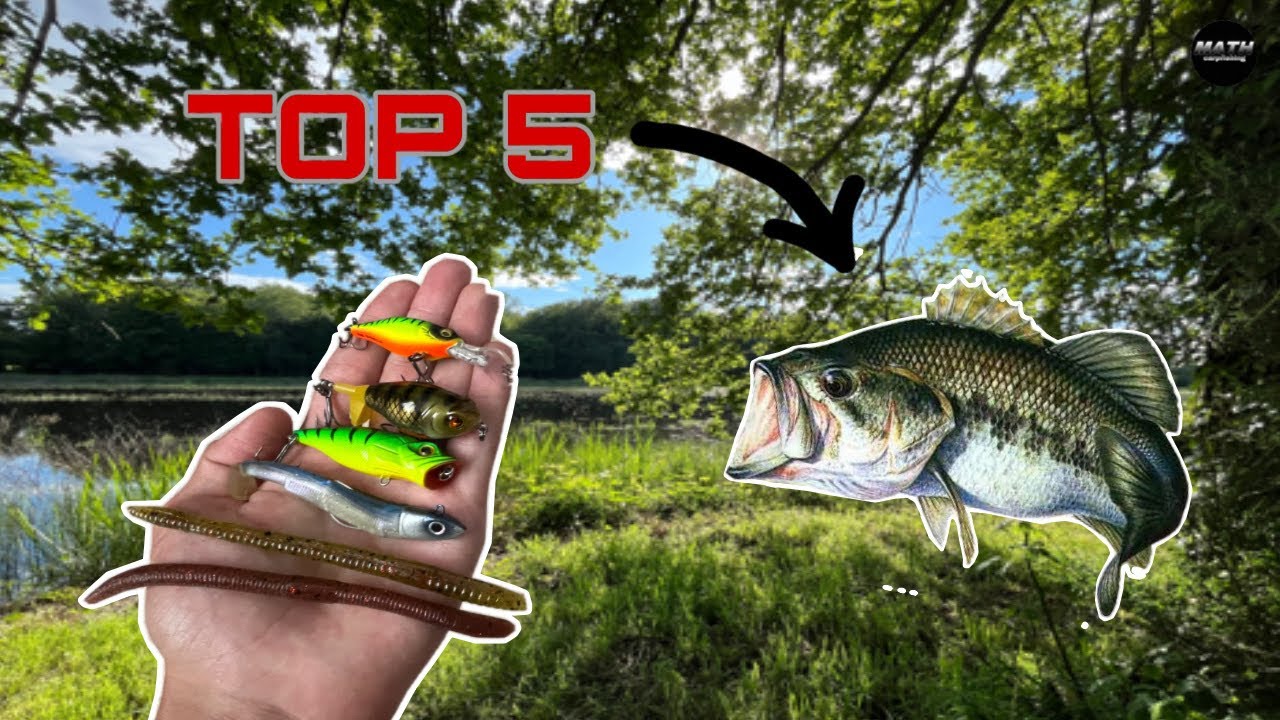 Les 5 meilleurs leurres pour BLACK-BASS!!