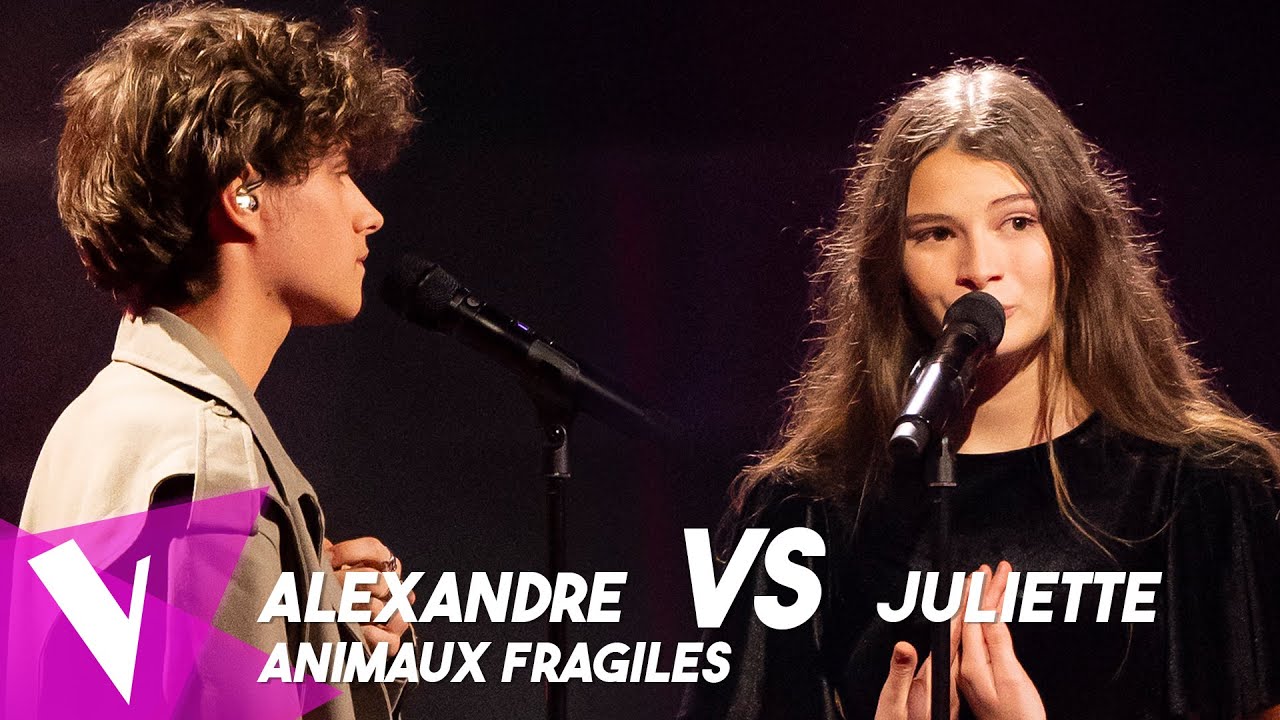 Ycare & Zaz - 'Animaux fragiles' ● Alexandre & Juliette | Duels | The Voice Belgique Saison 11