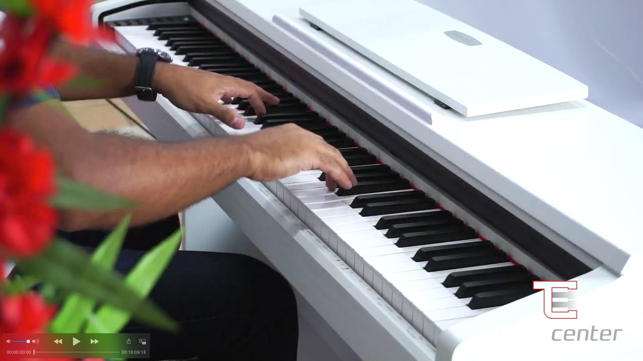 Pearl River V-05 Review completo #pearlriver