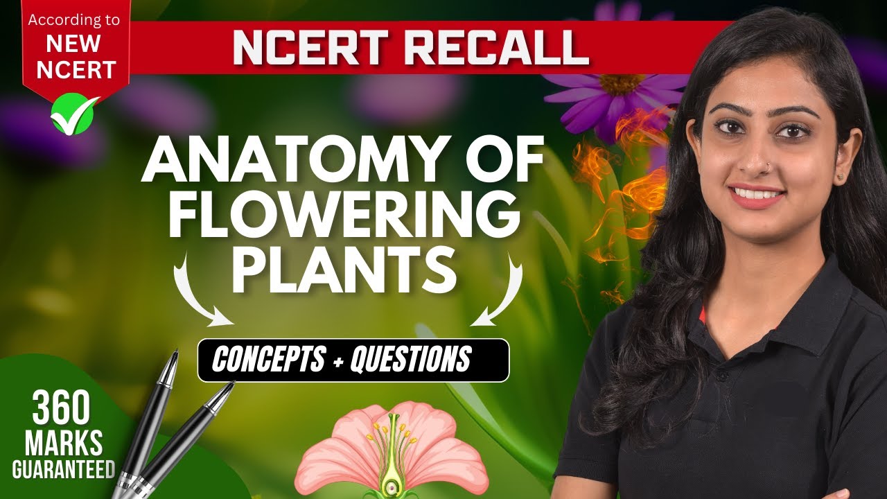 Anatomy of Flowering Plants | Concepts + Questions | NCERT RECALL | NEET 2024