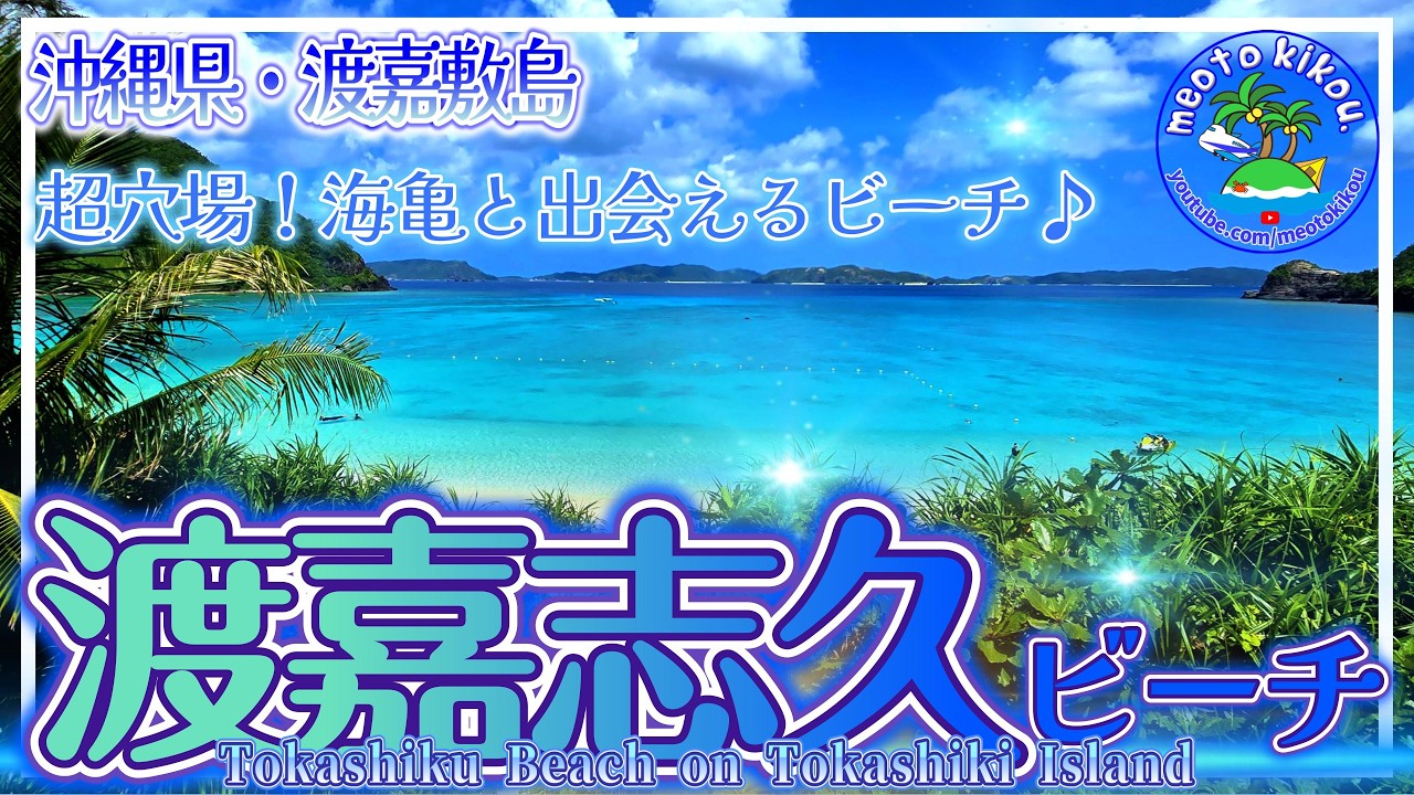【渡嘉敷島】 海亀に出会えるおすすめビーチ🐢 渡嘉志久ビーチ⛱️ 沖縄県渡嘉敷島🌺