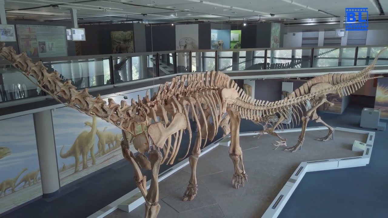 Cape Town Museum's HIDDEN SECRETS?! 🏛️ You WON'T Believe What's Inside!