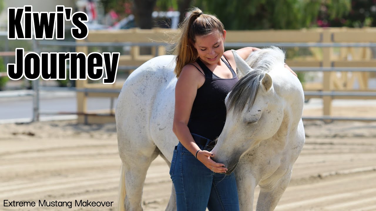 Kiwi's 100 Day Mustang Makeover Journey