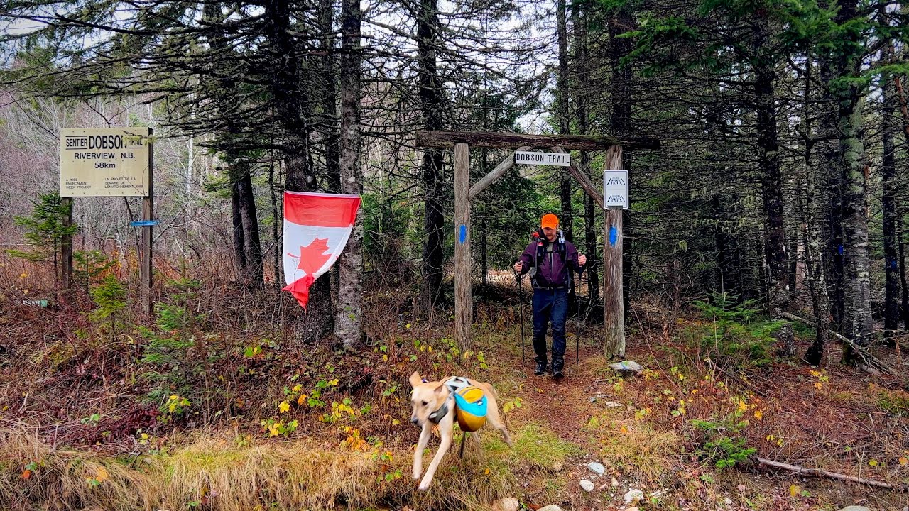 Hiking the Dobson Trail  |  New Brunswick
