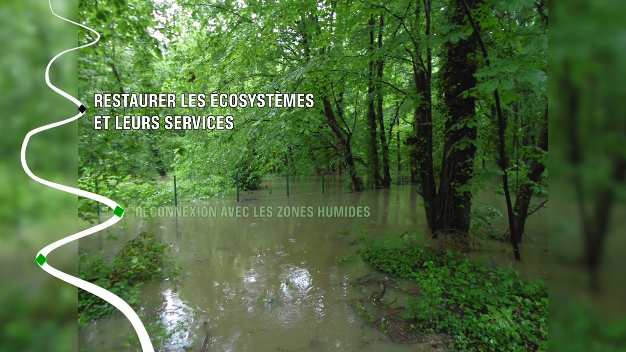 Chantier de renaturation de l'Yvette à Saint-Rémy-lès-Chevreuse