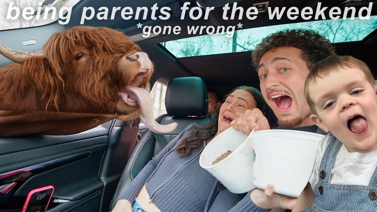 BECOMING PARENTS FOR THE WEEKEND… EXOTIC ZOO GONE WRONG