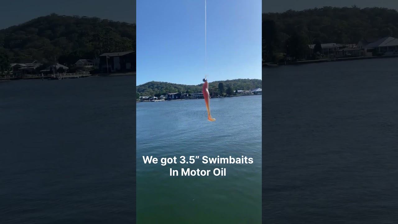 3.5&rsquo;&rsquo; Swimbait In Motor Oil, Available now from BlueFinBaits.com.au #fishing #lurefishing #sydney