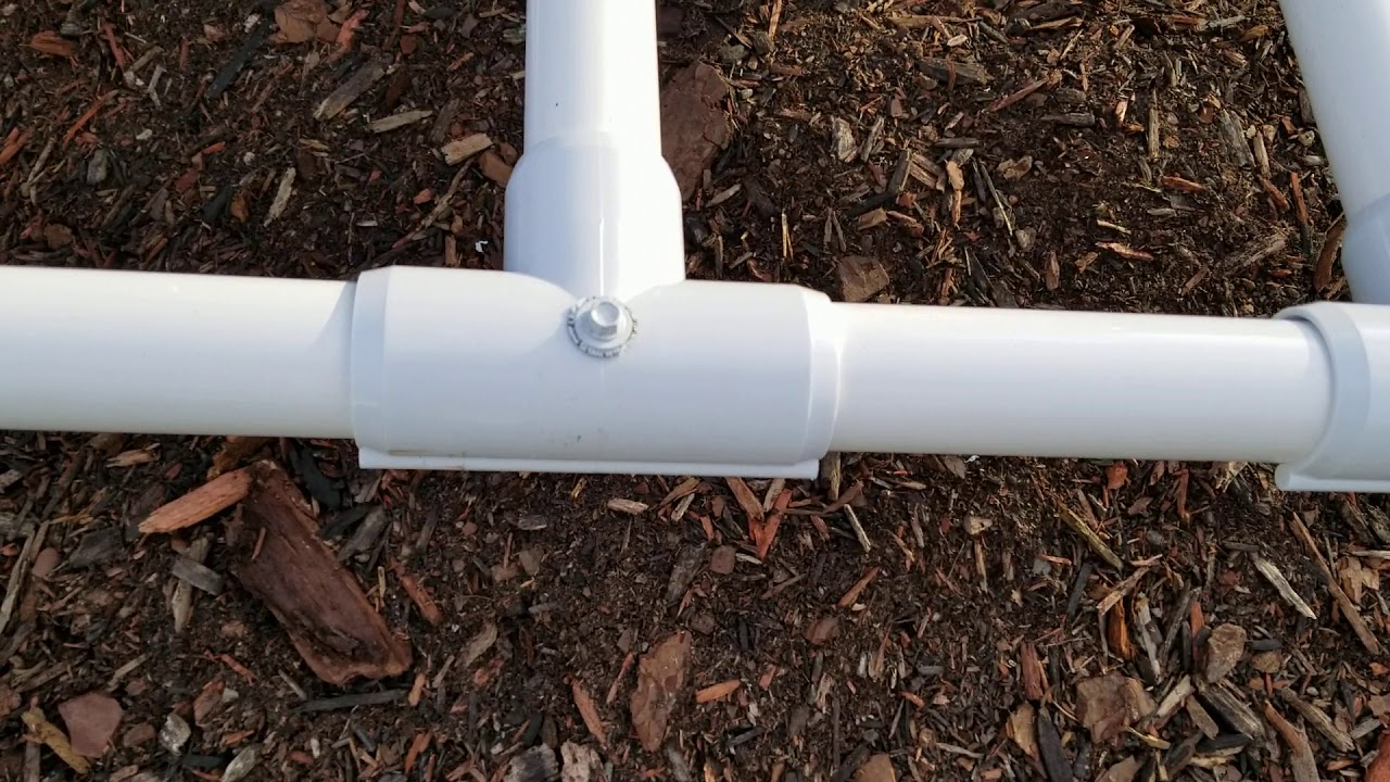 Winter Protection for the Windmill Palm Trees in Avella, Pa.  (Nov.-20-2020)