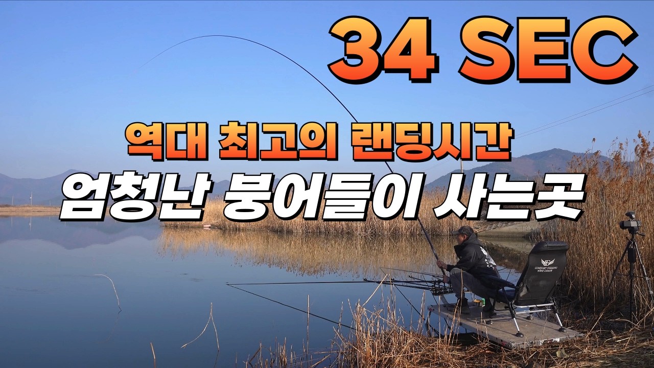 거대한 쟁반붕어// 여기 붕어는 미쳤습니다 죽을때까지 잊지 못할 손맛// 잡는 순간 잉어인줄#붕어낚시 #fishing #시목강#해창만