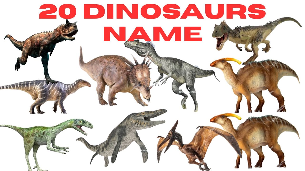 20 डायनासोर के नाम हिंदी में | Dinosaur Names in Hindi for Kids | बच्चों के लिए डायनासोर #dinosaur