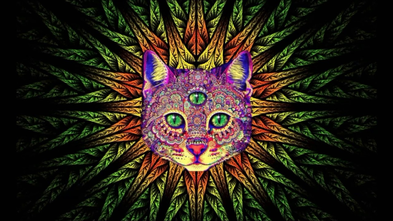 Adnan Jakubovic - Lysergic Acid