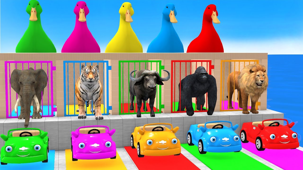 Long Slide Game With Cow Elephant Gorilla Hippopotamus Tiger 3d Animal Game Funny 3d Animals