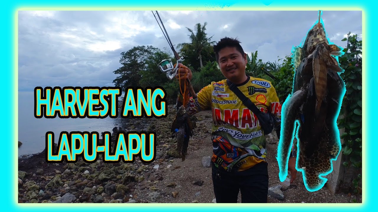 Japok the Grouper Hunter Near Villa Marcelina Hotel & Resort #fishing #fishinglife #saltwaterfishing