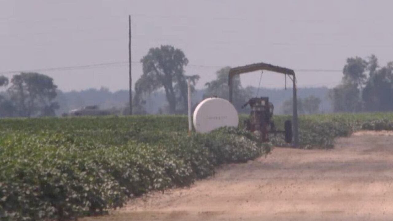 Trade war impacting Missouri farmers