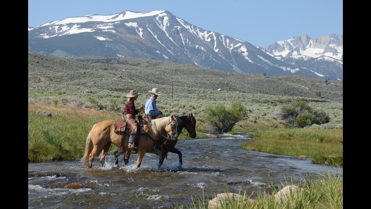 Weekend TV Worth watching!  A full episode of Today's Wild West!